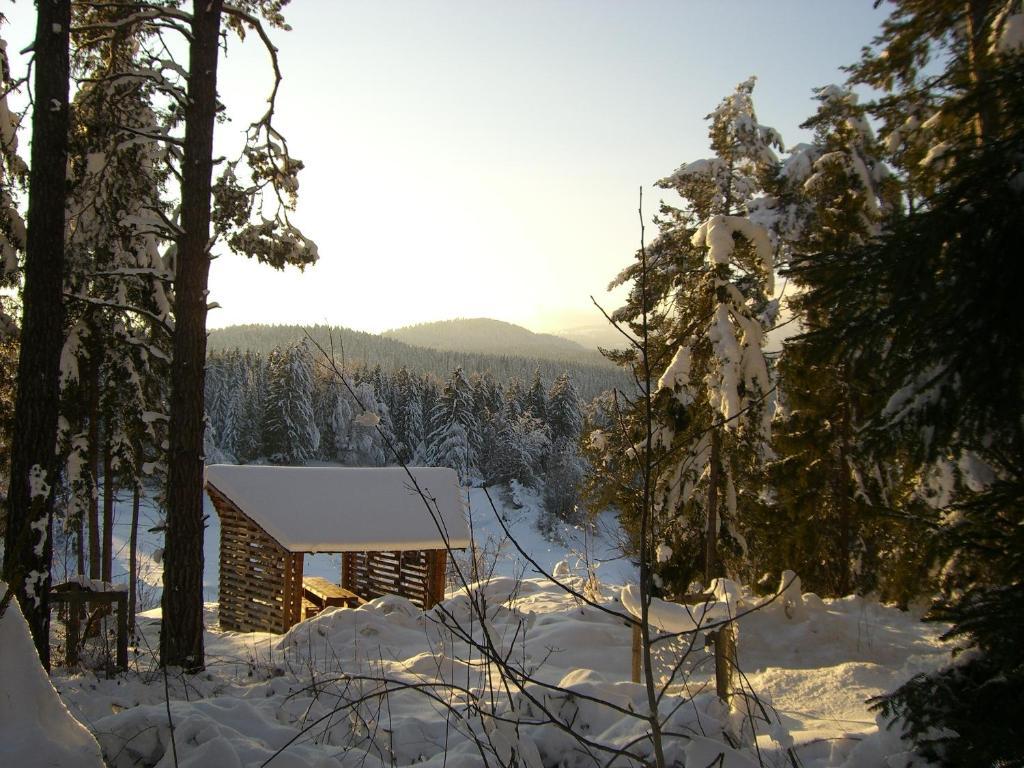Pension Casa Selva Trin Exterior photo
