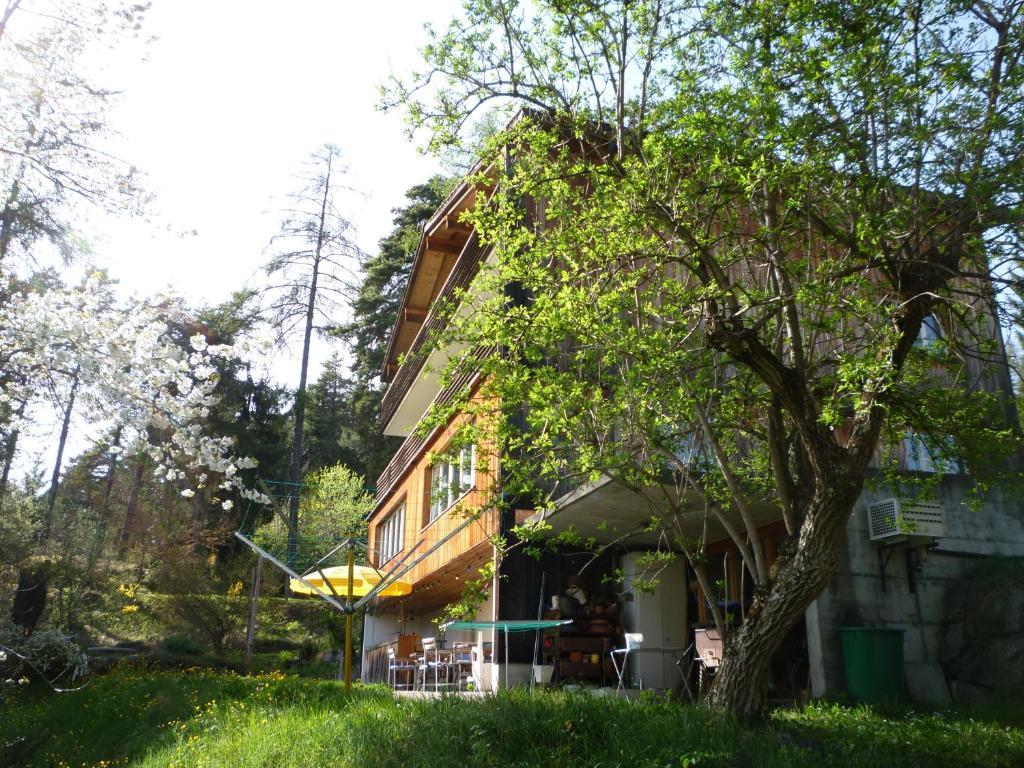 Pension Casa Selva Trin Exterior photo